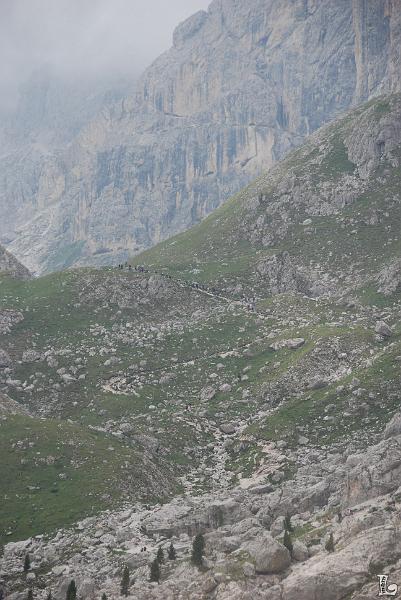 TorriVaiolet-021.JPG