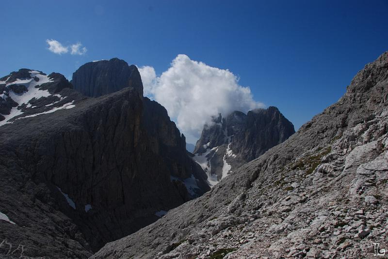 PaleDiSanMartino-012.JPG