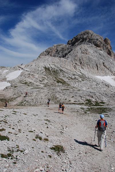 PaleDiSanMartino-018.JPG