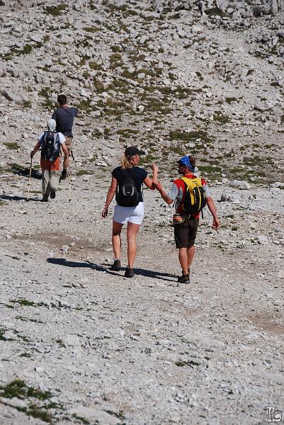 PaleDiSanMartino-019.JPG