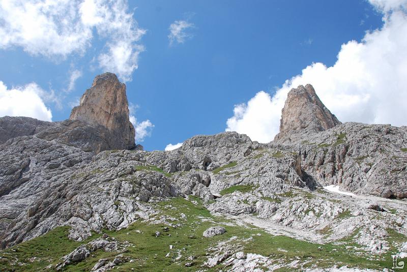 PaleDiSanMartino-071.JPG