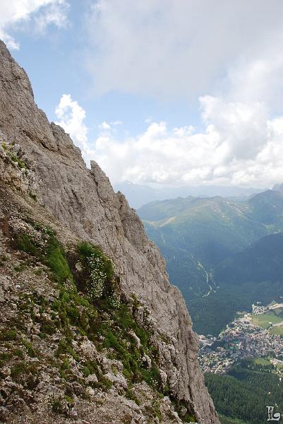 PaleDiSanMartino-094.JPG